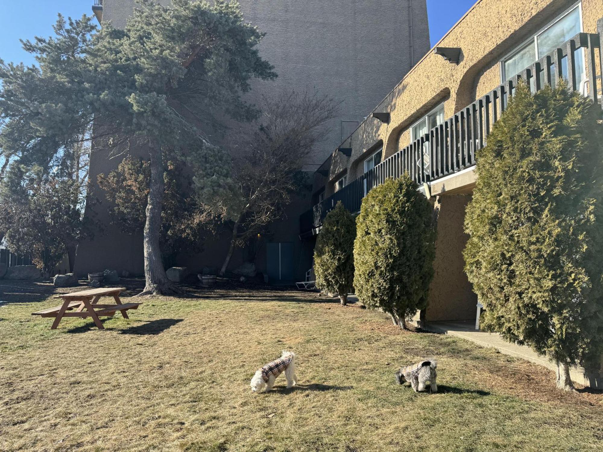 Divya Sutra Plaza And Conference Centre, Vernon, Bc